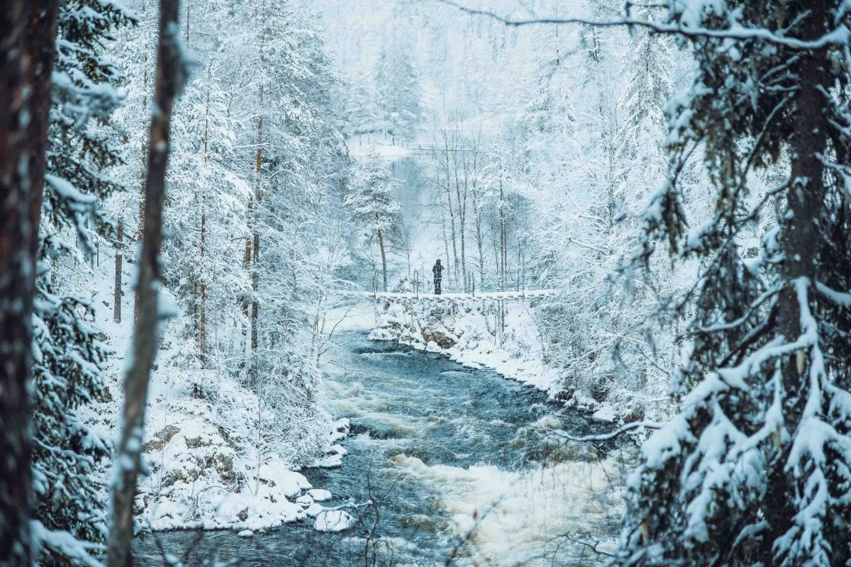 Winter views in Oulanka National Park, Lapland, Finland