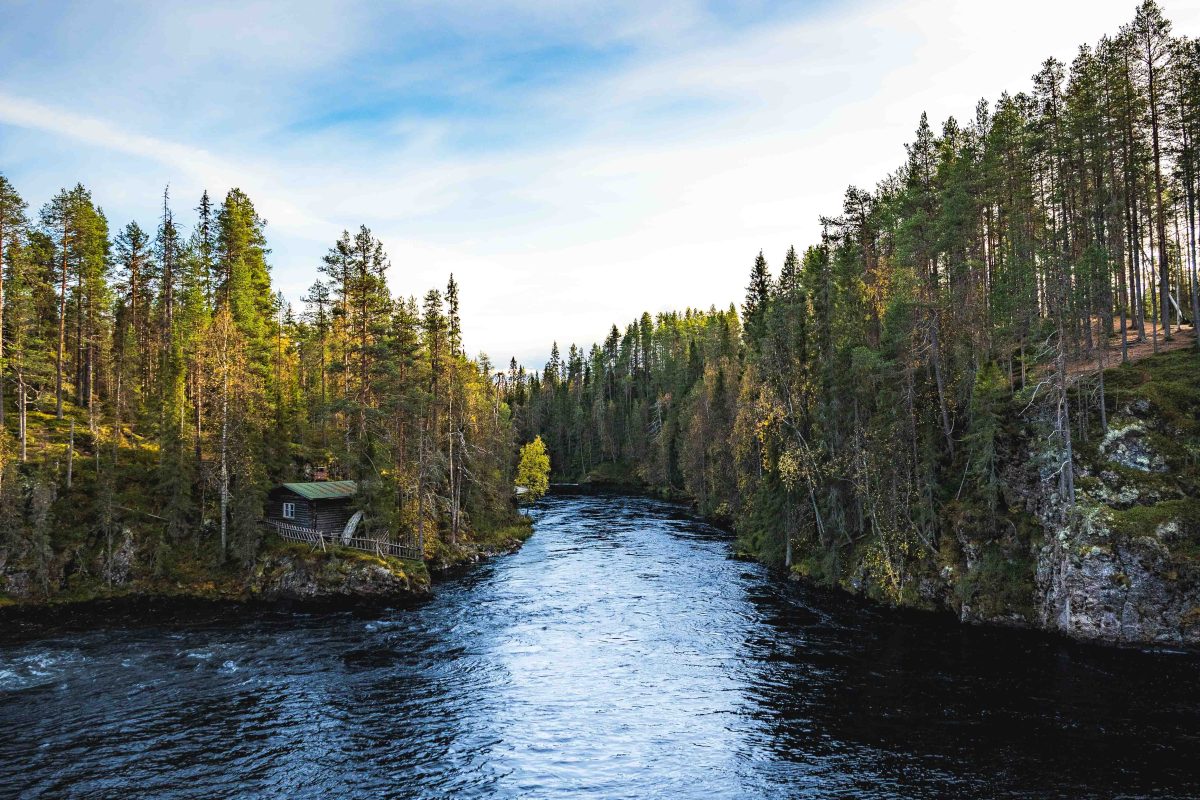 Summer colours in Oulanka National Park, Lapland, Finland