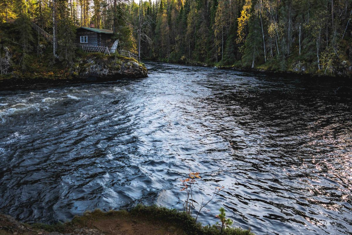 Summertime in Oulanka National Park, Lapland, Finland