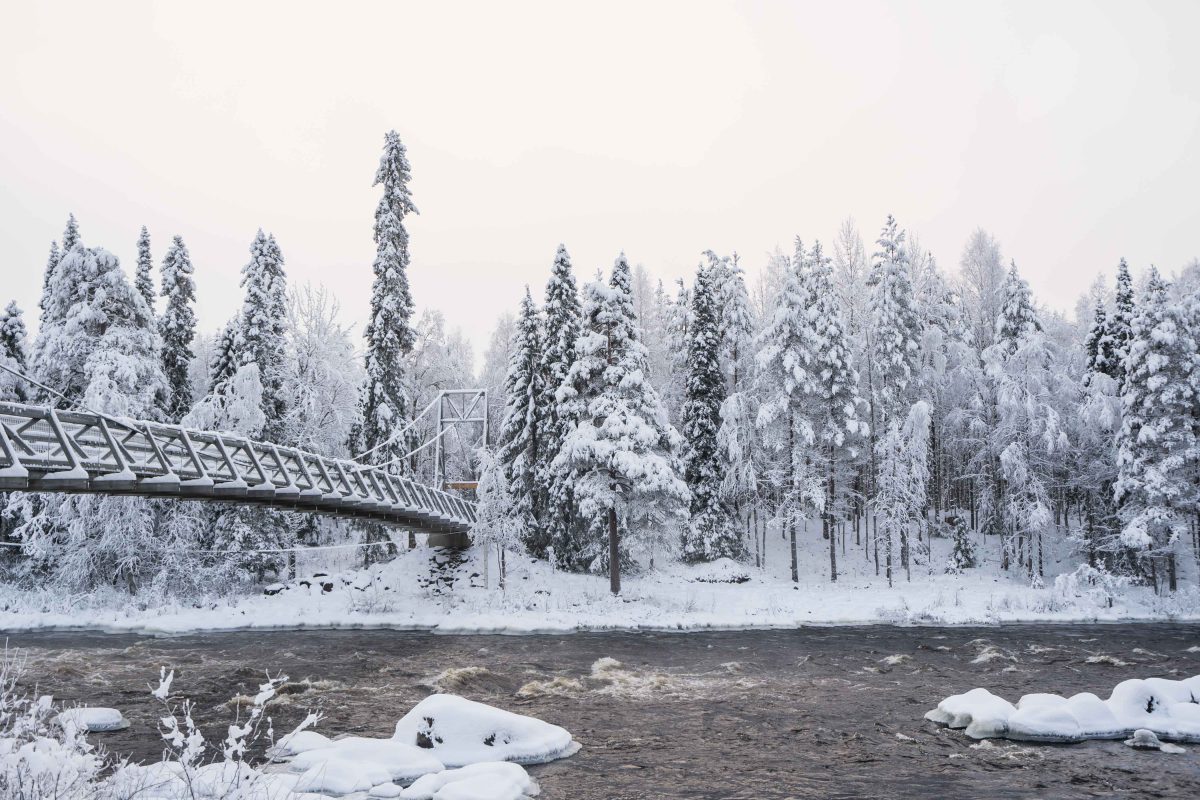 Snowy river and forest landscape near Rovaniemi
