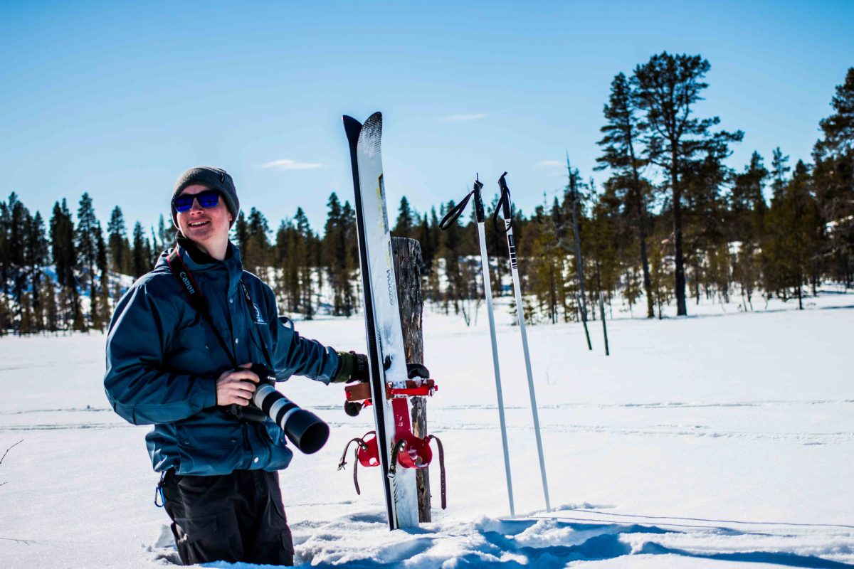 Skiing adventure in Arctic nature