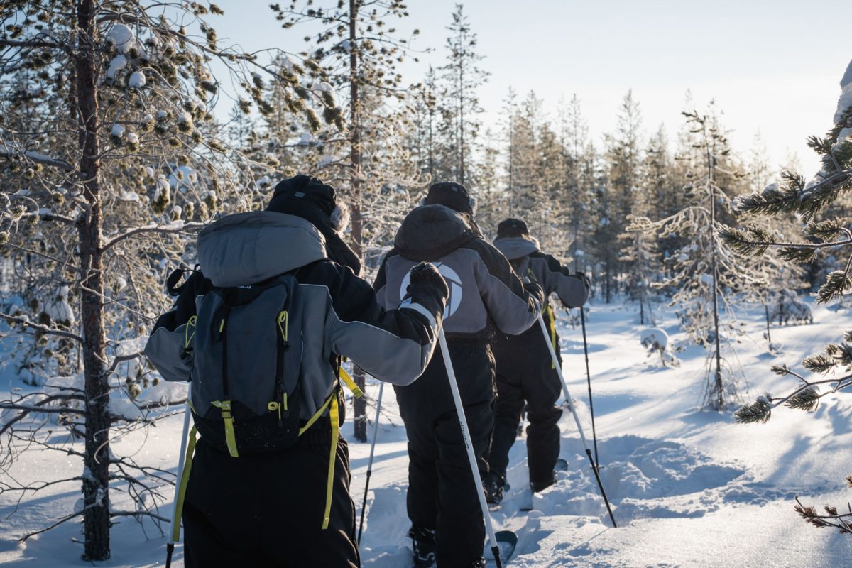 Backcountry skiing through a snowy forest in Lapland