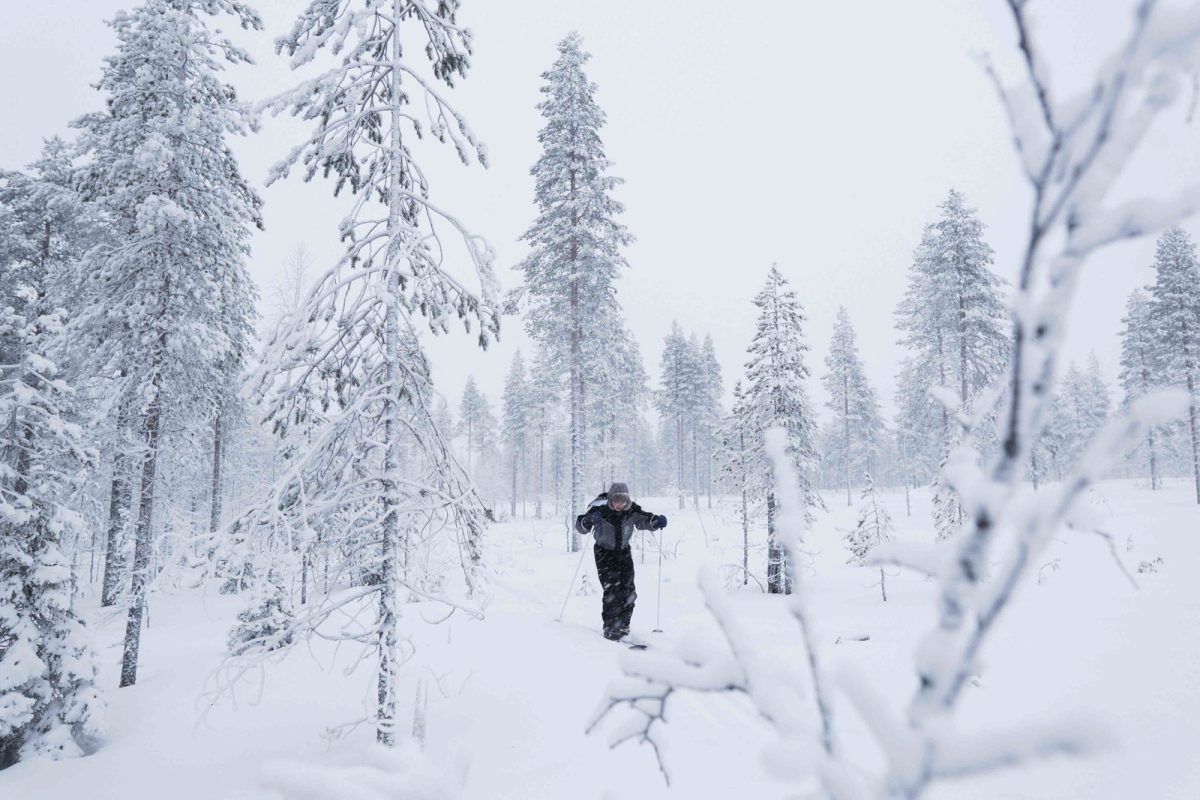 Backcountry skiing through a snowy Lapland forest