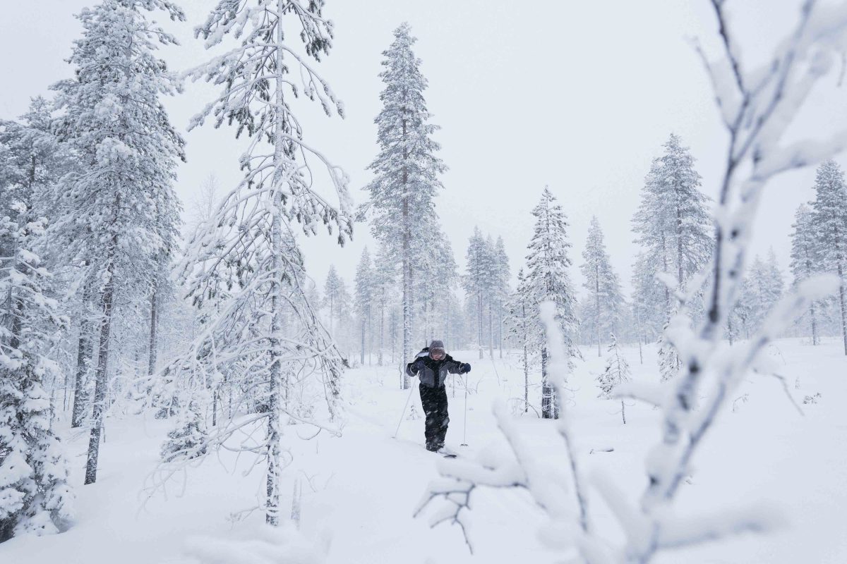 Backcountry skiing in the Rovaniemi wilderness