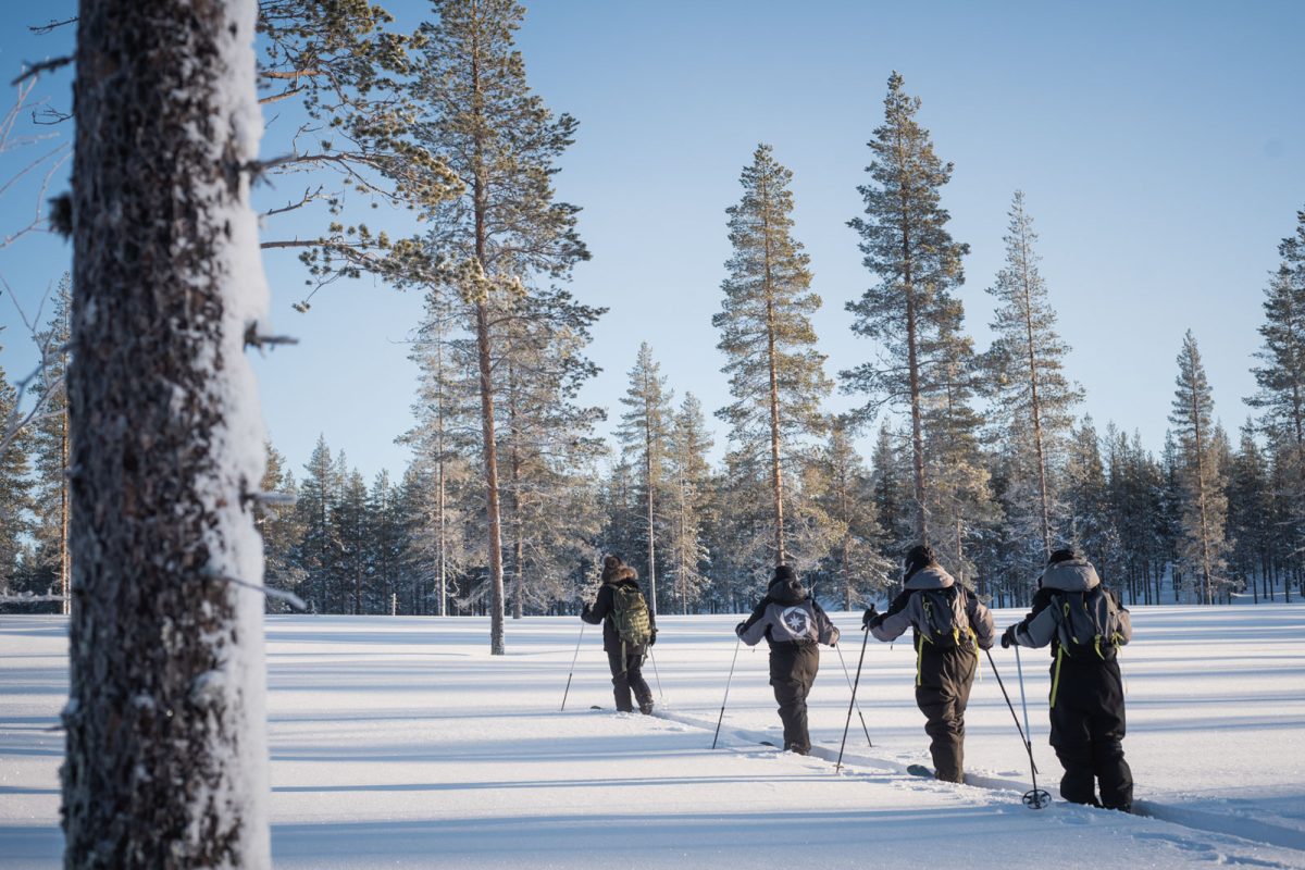 Deep-snow skis beside a forest and frozen lake in Lapland