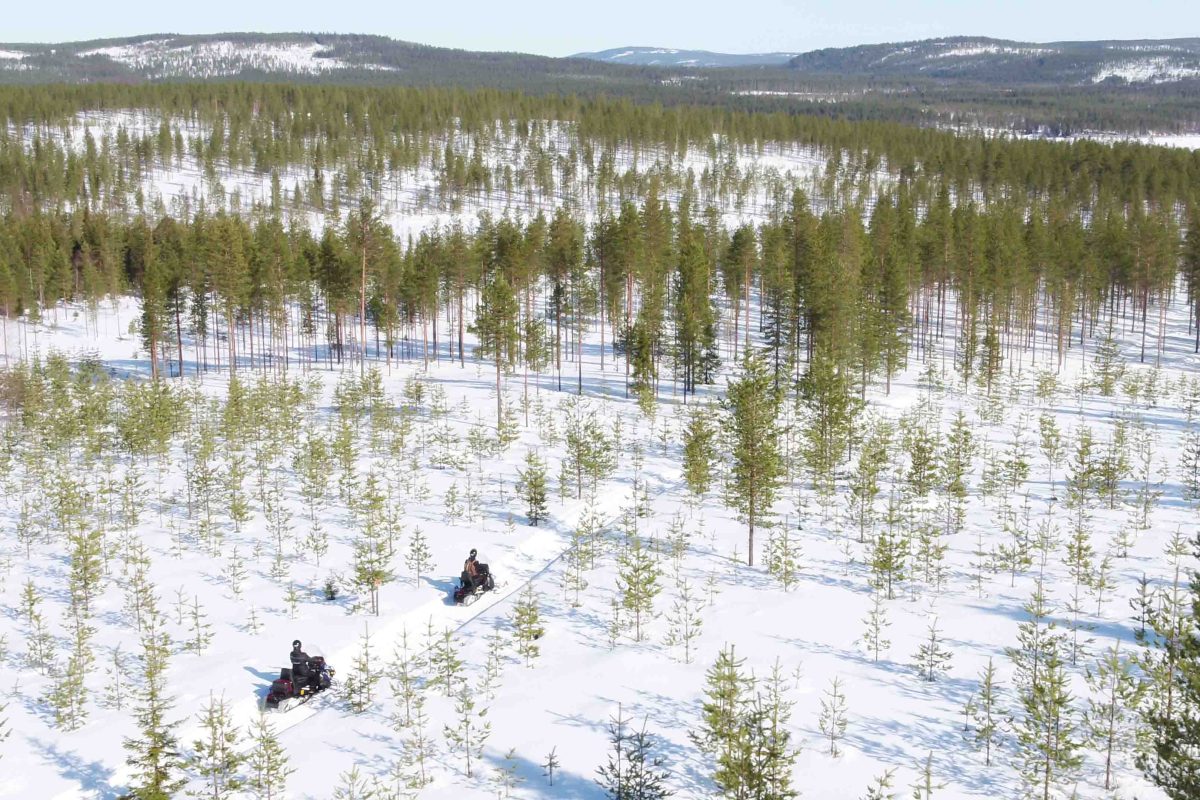 Snowmobiling tour in the wilderness