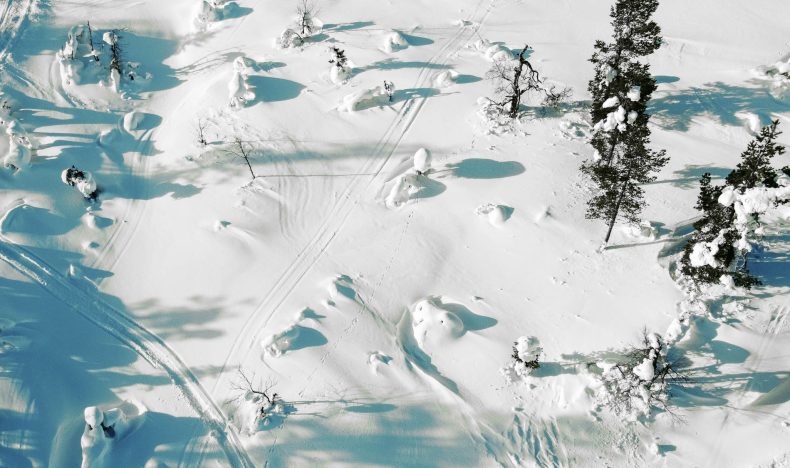 Snowshoe Adventure in the Wilderness in Levi