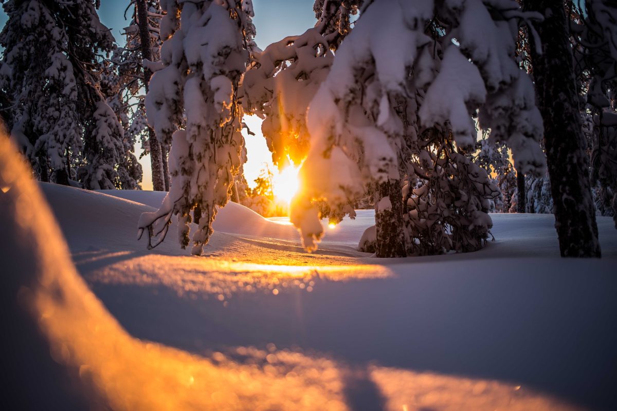 Snowy sunset in Rovaniemi Lapland Finland