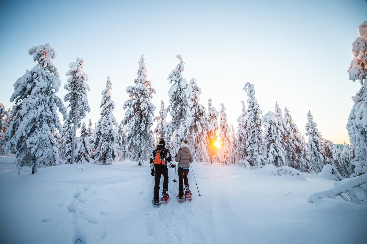 Snowshoe hikers near Rovaniemi, Lapland