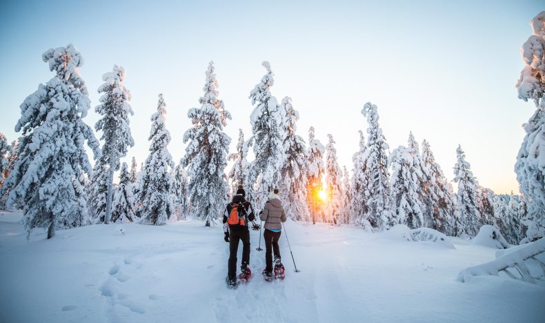 Wilderness Snowshoe Adventure