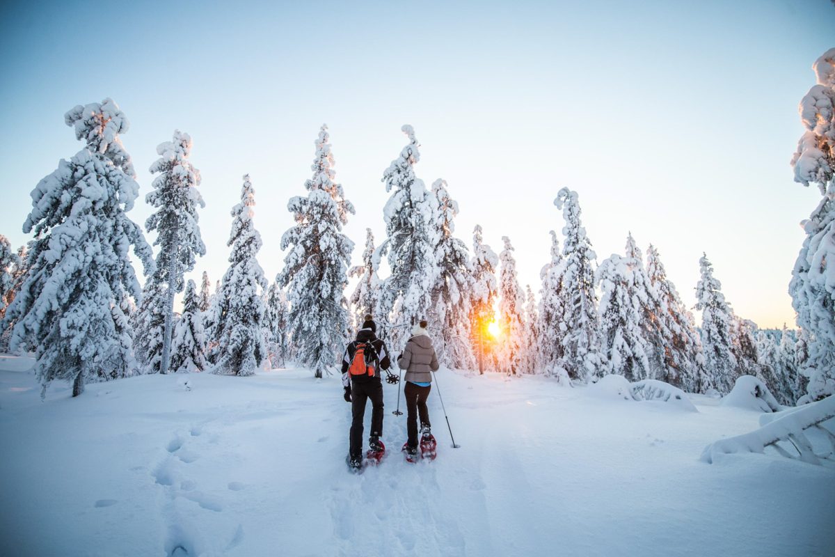 Winter light over snow-covered trees during a snowshoe tour