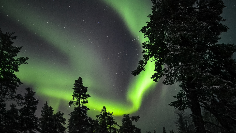 Northern Lights above a snowy forest near Levi