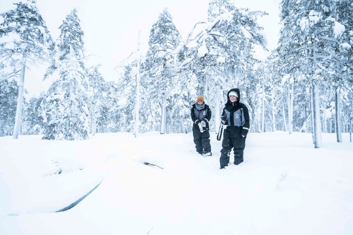 Guided winter hike in Pallas-Yllästunturi National Park