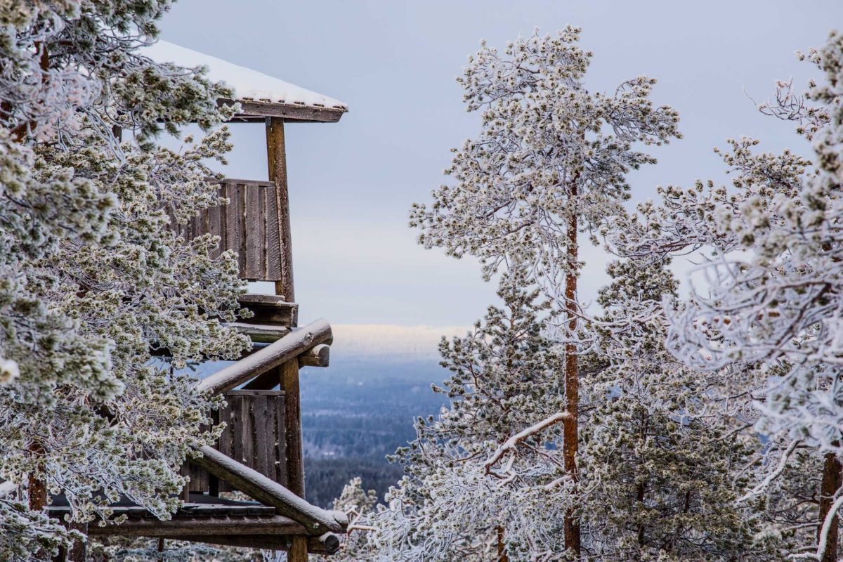 Observation tower in the Auttiköngäs wilderness