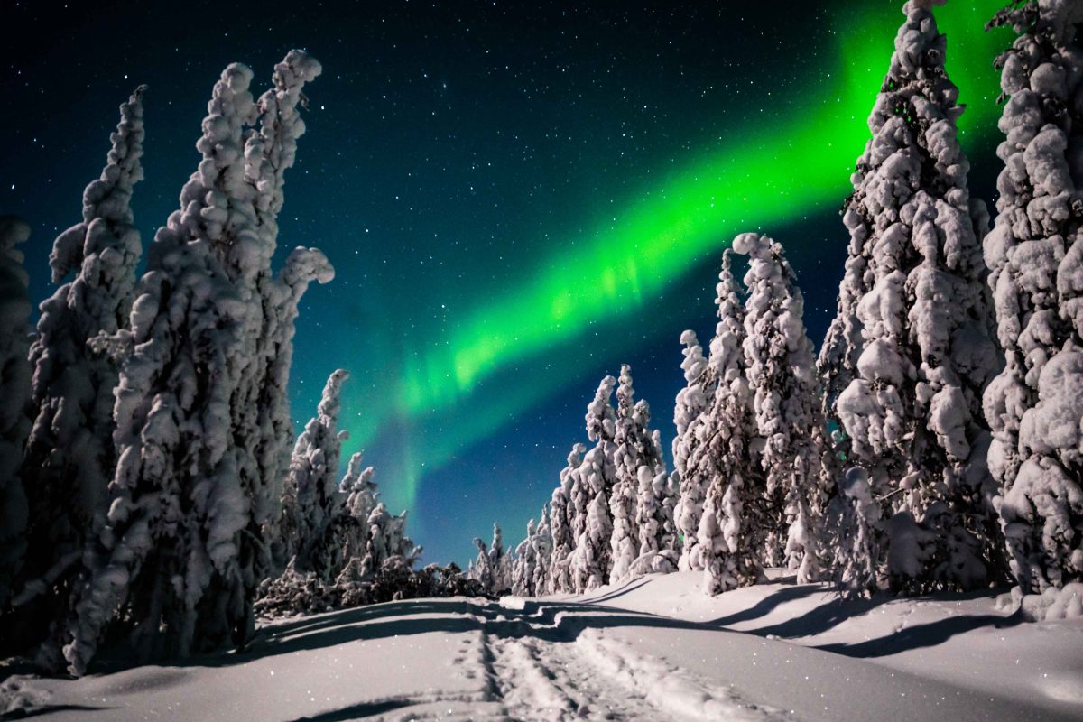 Northern Lights over the Arctic wilderness
