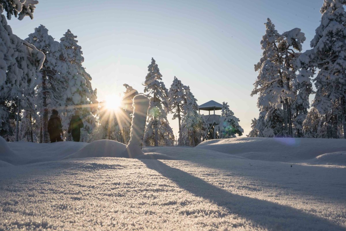 Photographing snowy landscapes near Rovaniemi