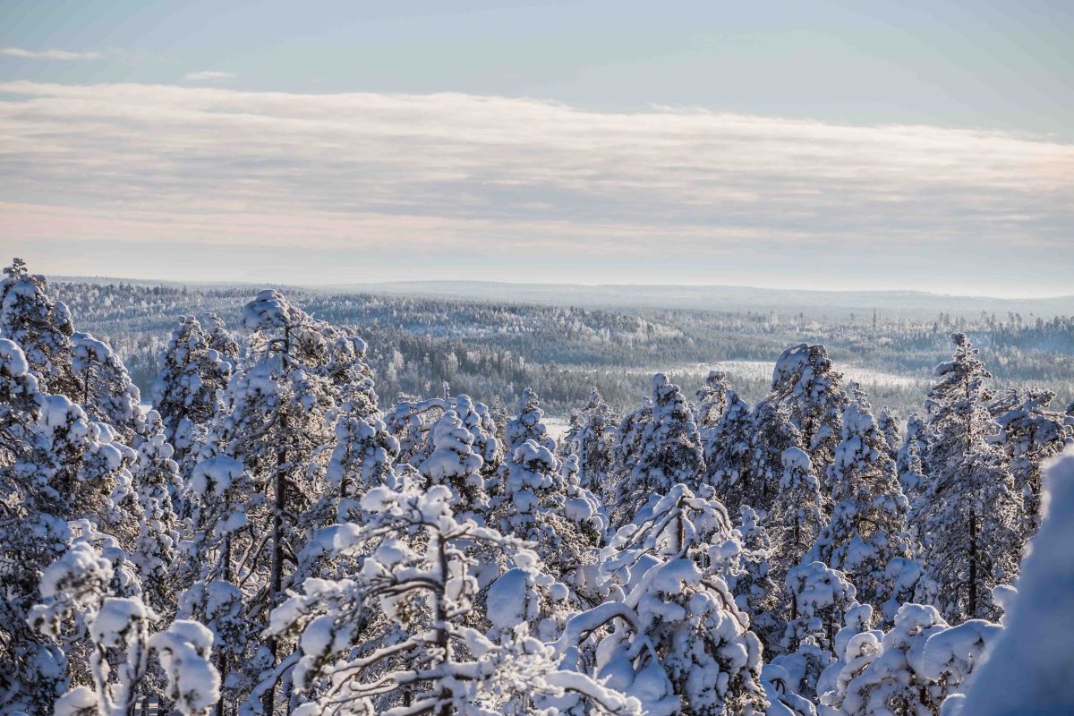 Snow-covered Arctic wilderness