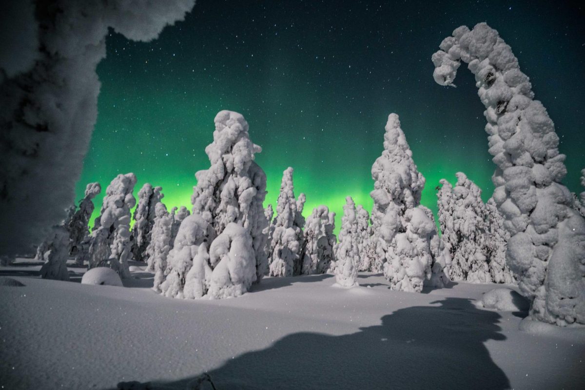 Aurora Borealis over a winter landscape